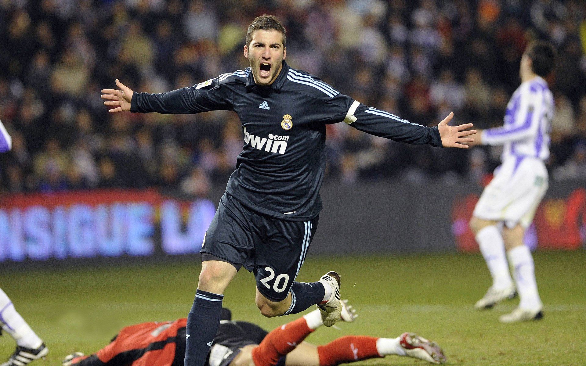 _天幕飞盘：空中运动的艺术之旅_，史上最全的天幕搭建大全